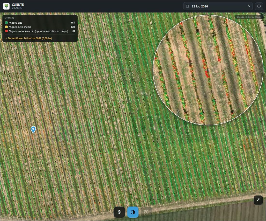 La mappa interattiva del vigneto con le classi di vigore e i punti da verificare