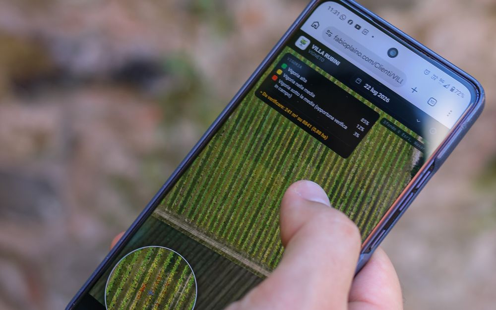 Il viewer consultato in campo dallo smartphone tra i filari